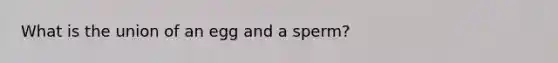 What is the union of an egg and a sperm?