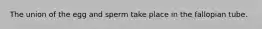 The union of the egg and sperm take place in the fallopian tube.