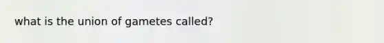 what is the union of gametes called?