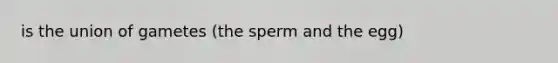 is the union of gametes (the sperm and the egg)