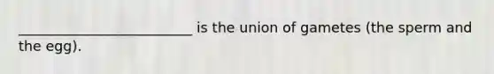 _________________________ is the union of gametes (the sperm and the egg).