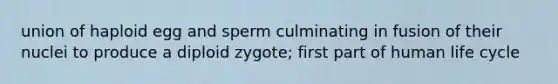 union of haploid egg and sperm culminating in fusion of their nuclei to produce a diploid zygote; first part of human life cycle