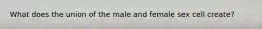 What does the union of the male and female sex cell create?