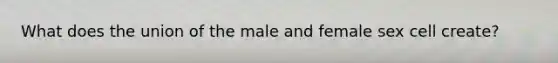 What does the union of the male and female sex cell create?