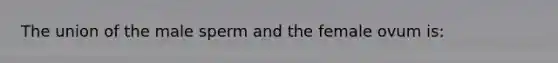 The union of the male sperm and the female ovum is: