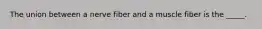 The union between a nerve fiber and a muscle fiber is the _____.