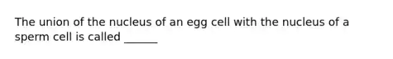 The union of the nucleus of an egg cell with the nucleus of a sperm cell is called ______