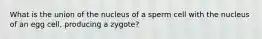 What is the union of the nucleus of a sperm cell with the nucleus of an egg cell, producing a zygote?