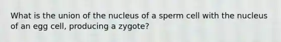 What is the union of the nucleus of a sperm cell with the nucleus of an egg cell, producing a zygote?