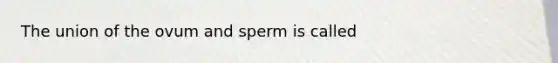 The union of the ovum and sperm is called