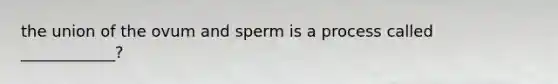 the union of the ovum and sperm is a process called ____________?