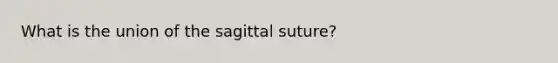 What is the union of the sagittal suture?