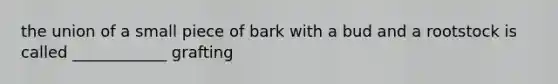 the union of a small piece of bark with a bud and a rootstock is called ____________ grafting