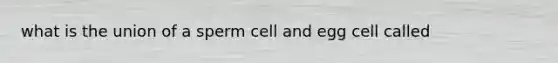 what is the union of a sperm cell and egg cell called