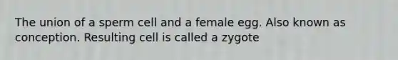 The union of a sperm cell and a female egg. Also known as conception. Resulting cell is called a zygote