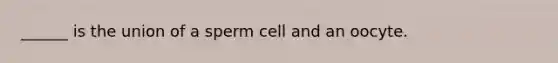 ______ is the union of a sperm cell and an oocyte.