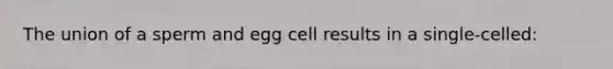 The union of a sperm and egg cell results in a single-celled: