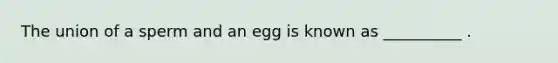 The union of a sperm and an egg is known as __________ .