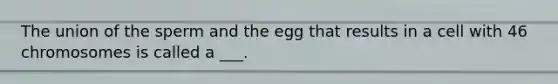 The union of the sperm and the egg that results in a cell with 46 chromosomes is called a ___.