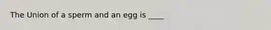 The Union of a sperm and an egg is ____