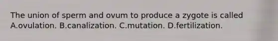 The union of sperm and ovum to produce a zygote is called A.ovulation. B.canalization. C.mutation. D.fertilization.