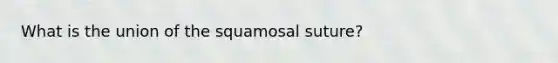 What is the union of the squamosal suture?