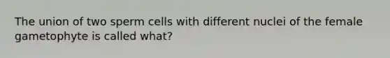 The union of two sperm cells with different nuclei of the female gametophyte is called what?