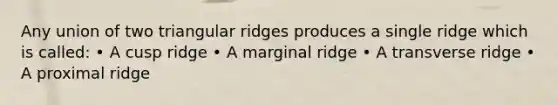 Any union of two triangular ridges produces a single ridge which is called: • A cusp ridge • A marginal ridge • A transverse ridge • A proximal ridge