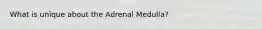 What is unique about the Adrenal Medulla?