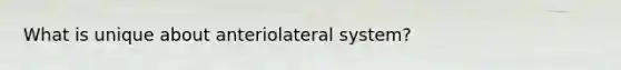 What is unique about anteriolateral system?