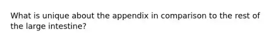 What is unique about the appendix in comparison to the rest of the <a href='https://www.questionai.com/knowledge/kGQjby07OK-large-intestine' class='anchor-knowledge'>large intestine</a>?