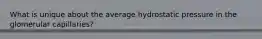 What is unique about the average hydrostatic pressure in the glomerular capillaries?