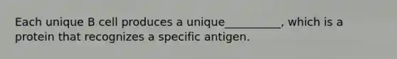 Each unique B cell produces a unique__________, which is a protein that recognizes a specific antigen.