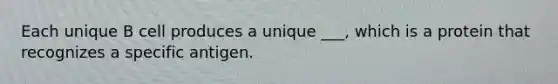 Each unique B cell produces a unique ___, which is a protein that recognizes a specific antigen.