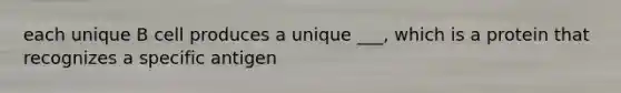 each unique B cell produces a unique ___, which is a protein that recognizes a specific antigen