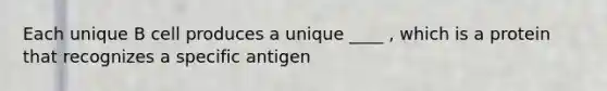 Each unique B cell produces a unique ____ , which is a protein that recognizes a specific antigen