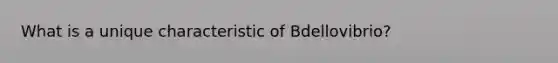 What is a unique characteristic of Bdellovibrio?