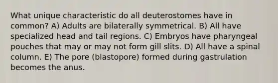 What unique characteristic do all deuterostomes have in common? A) Adults are bilaterally symmetrical. B) All have specialized head and tail regions. C) Embryos have pharyngeal pouches that may or may not form gill slits. D) All have a spinal column. E) The pore (blastopore) formed during gastrulation becomes the anus.