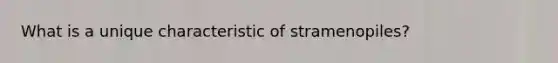 What is a unique characteristic of stramenopiles?