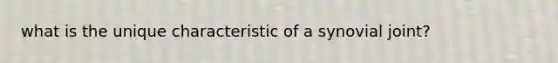 what is the unique characteristic of a synovial joint?