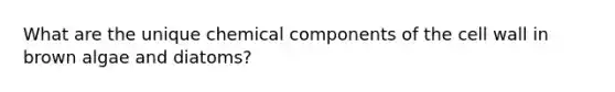 What are the unique chemical components of the cell wall in brown algae and diatoms?