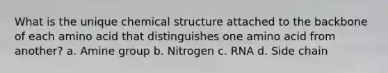 What is the unique chemical structure attached to the backbone of each amino acid that distinguishes one amino acid from another? a. Amine group b. Nitrogen c. RNA d. Side chain