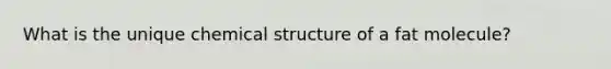 What is the unique chemical structure of a fat molecule?