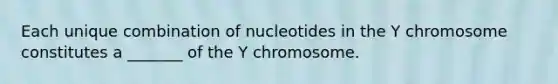 Each unique combination of nucleotides in the Y chromosome constitutes a _______ of the Y chromosome.