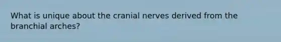 What is unique about the cranial nerves derived from the branchial arches?