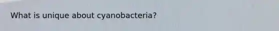 What is unique about cyanobacteria?