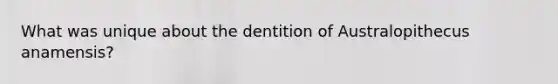 What was unique about the dentition of Australopithecus anamensis?