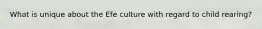 What is unique about the Efe culture with regard to child rearing?