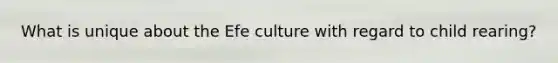 What is unique about the Efe culture with regard to child rearing?