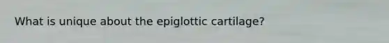 What is unique about the epiglottic cartilage?